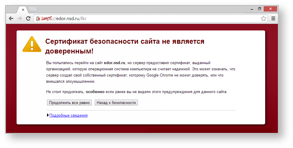Поддержка российских сайтов с сертификатами. Сертификаты на сайте. Сертификат безопасности для сайта. ССЛ сертификат. ССЛ сертификат для сайта.